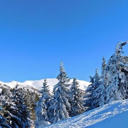 Stara Planina Vila Vesela Kuca Jalovik Izvor Exterior photo